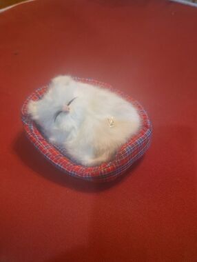 Plush White Sleeping Kitten in Red Plaid Pet Bed - Small Pets